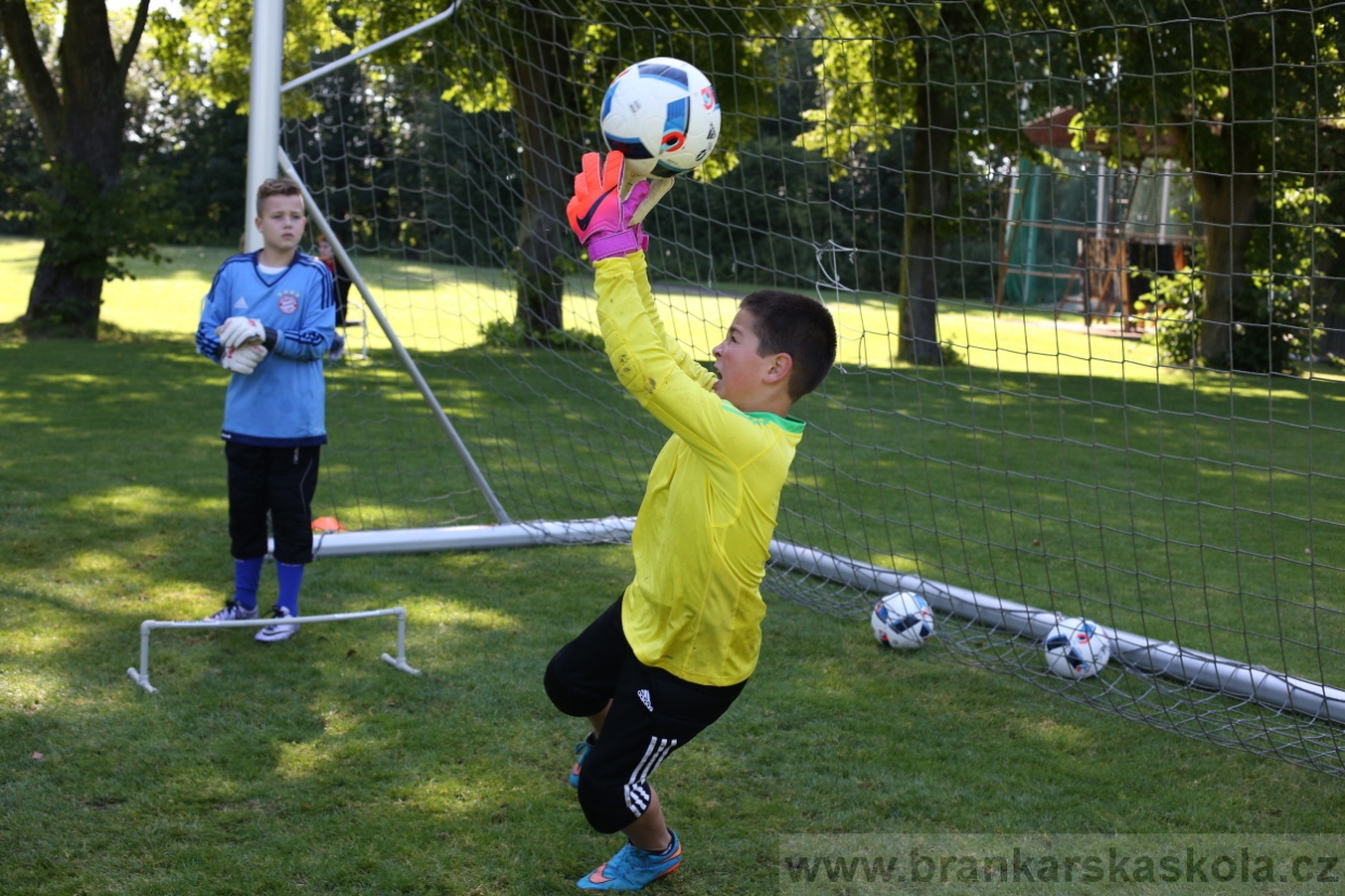 BFŠJCH - Léto 2017 - 29.7.2018