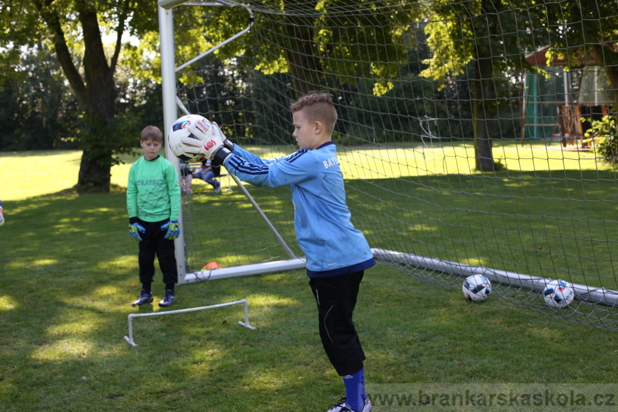 BFŠJCH - Léto 2017 - 29.7.2018