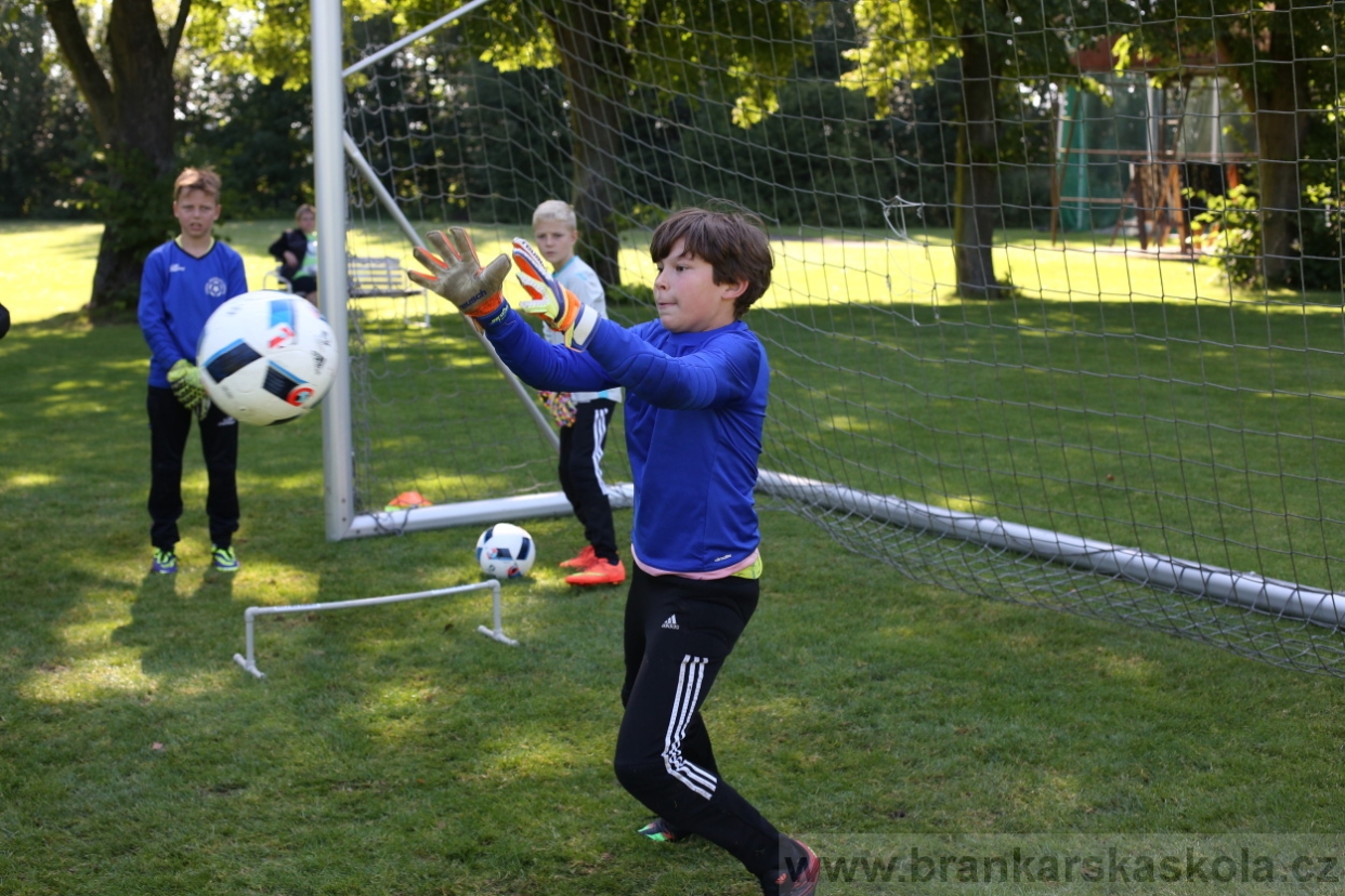BFŠJCH - Léto 2017 - 29.7.2018