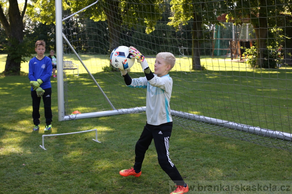 BFŠJCH - Léto 2017 - 29.7.2018