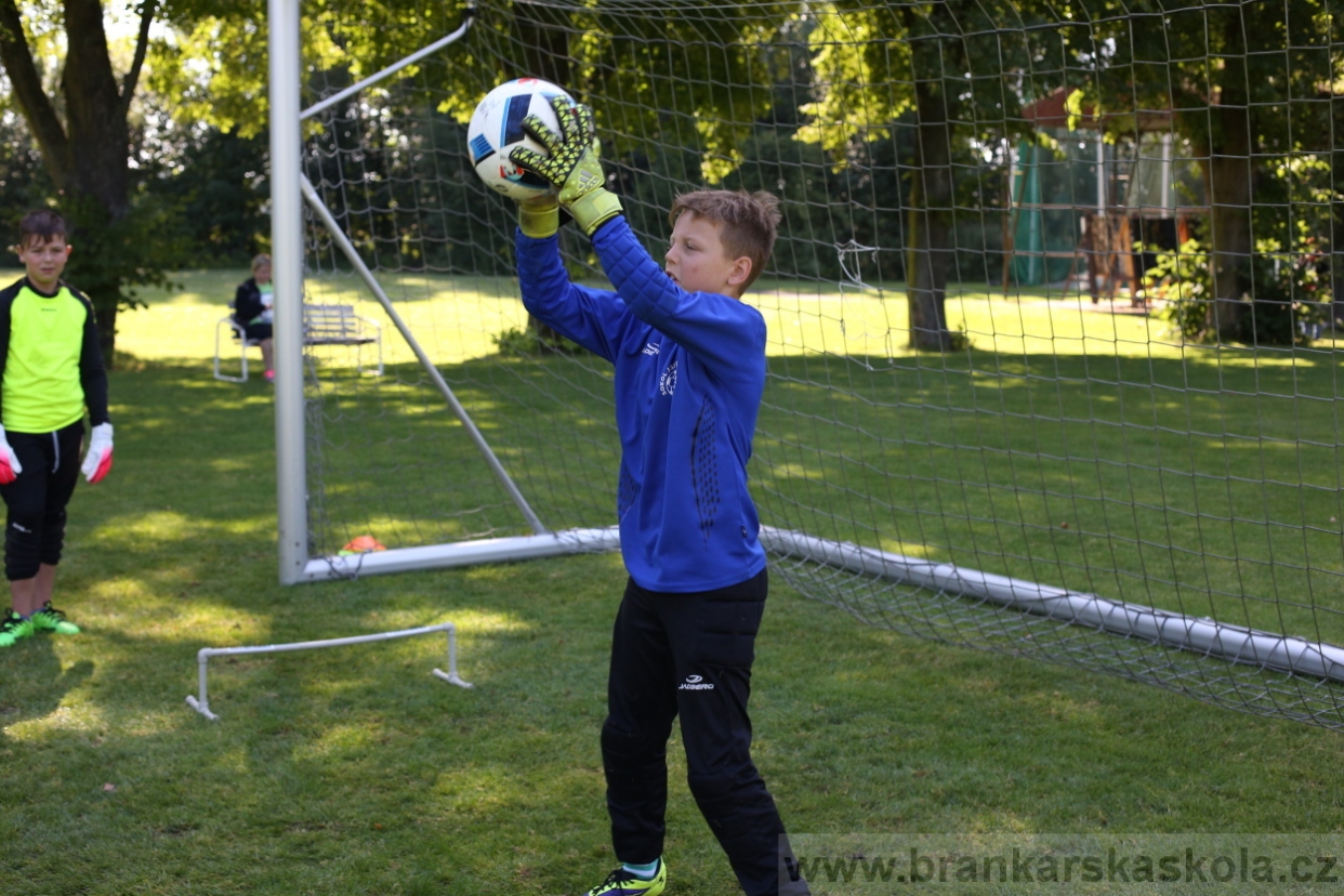 BFŠJCH - Léto 2017 - 29.7.2018