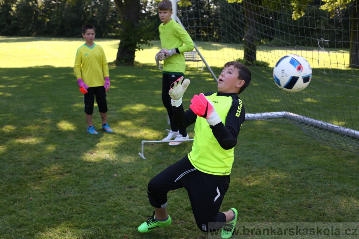 BFŠJCH - Léto 2017 - 29.7.2018