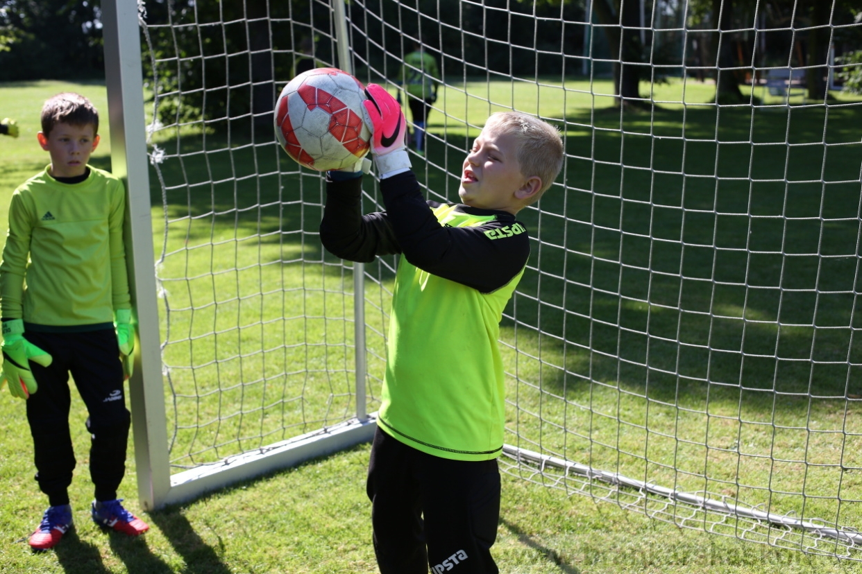 BFŠJCH - Léto 2017 - 29.7.2018