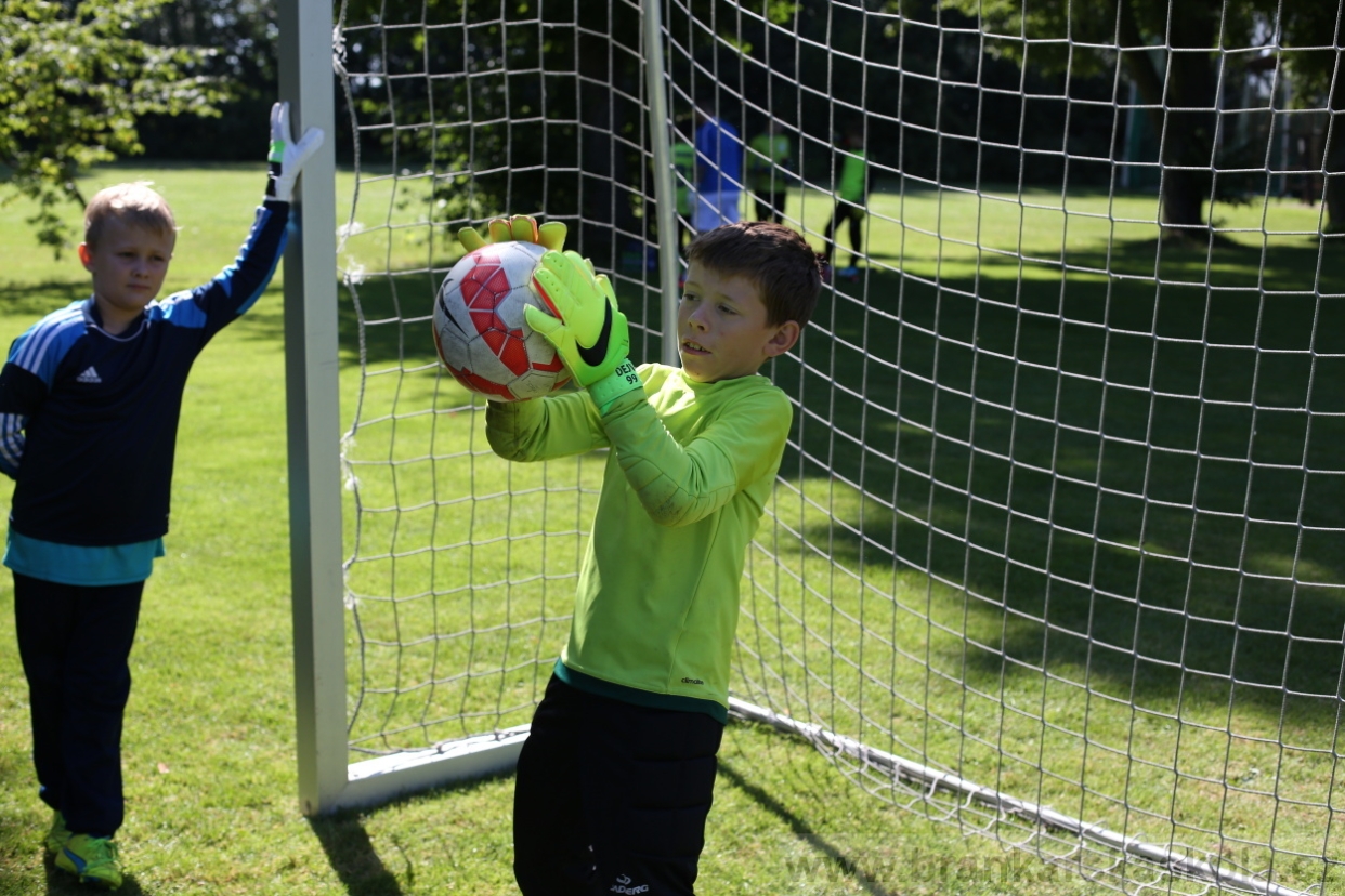 BFŠJCH - Léto 2017 - 29.7.2018