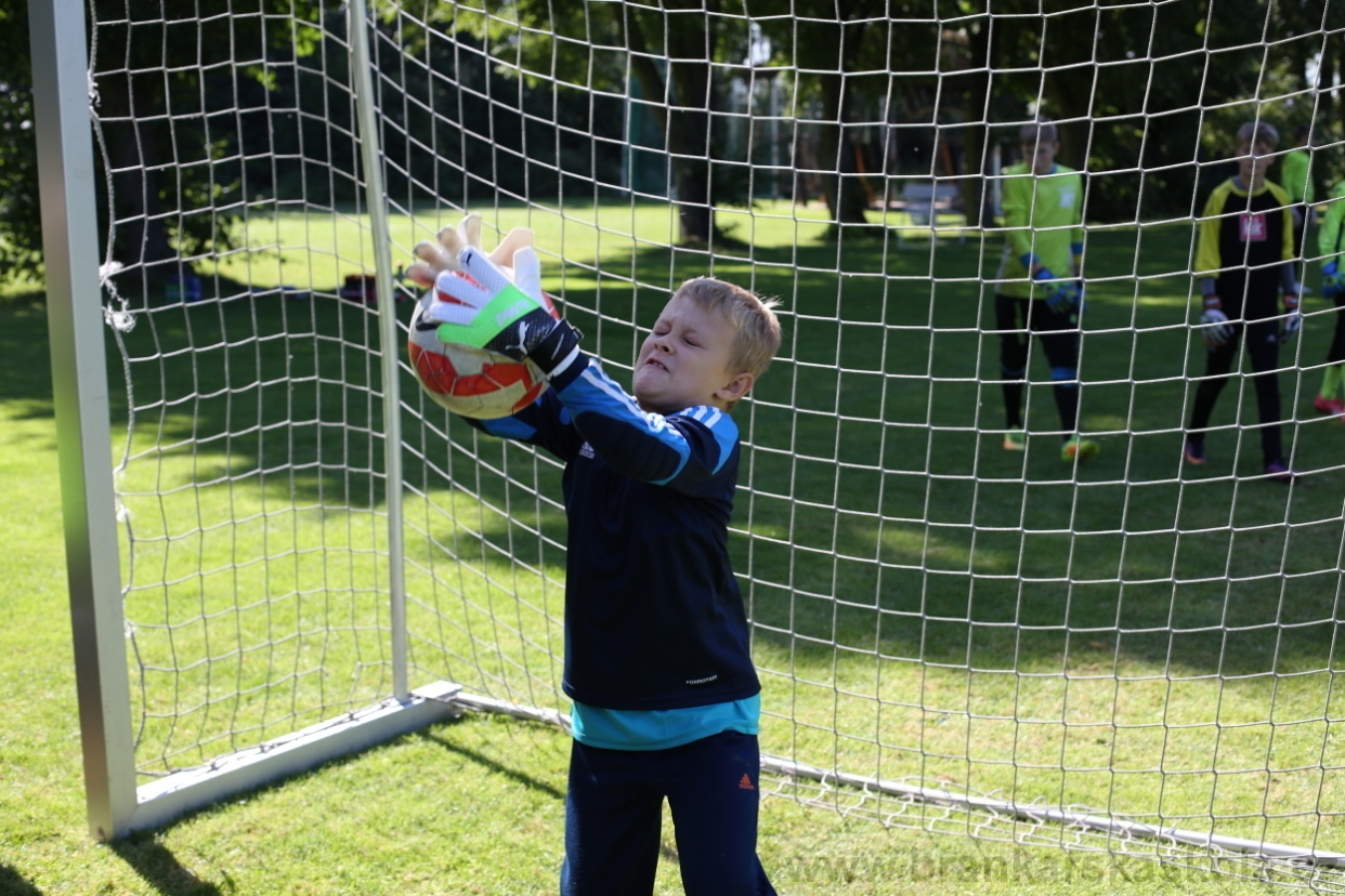 BFŠJCH - Léto 2017 - 29.7.2018