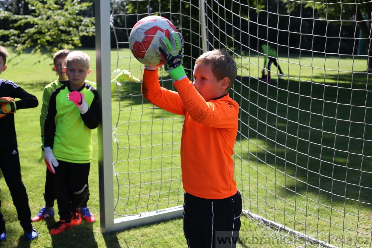 BFŠJCH - Léto 2017 - 29.7.2018