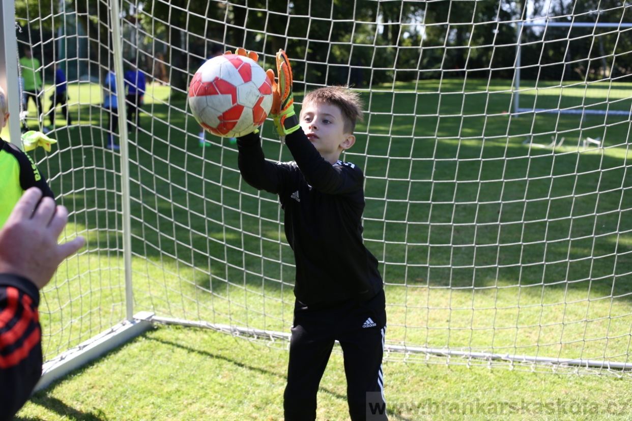 BFŠJCH - Léto 2017 - 29.7.2018