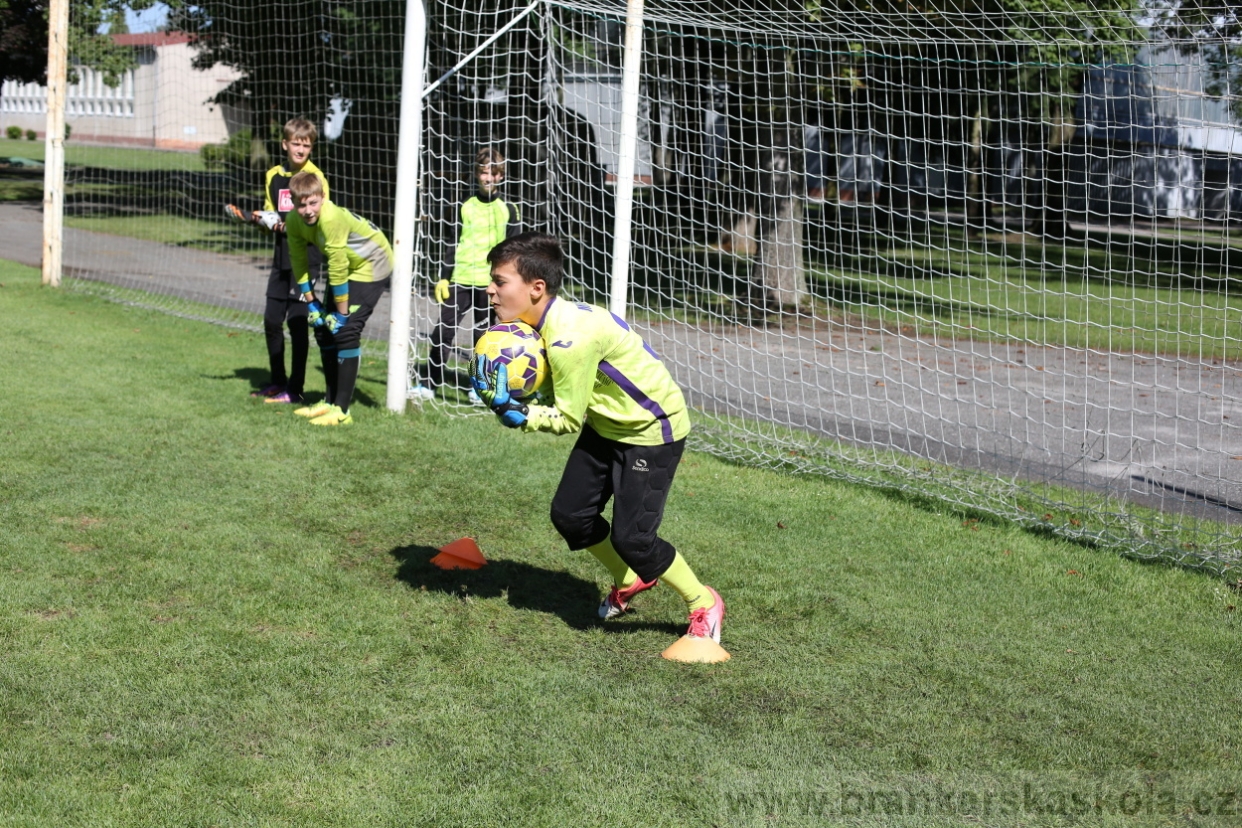 BFŠJCH - Léto 2017 - 29.7.2018