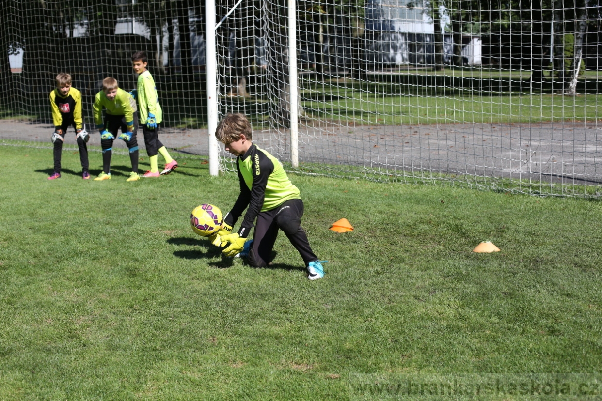 BFŠJCH - Léto 2017 - 29.7.2018