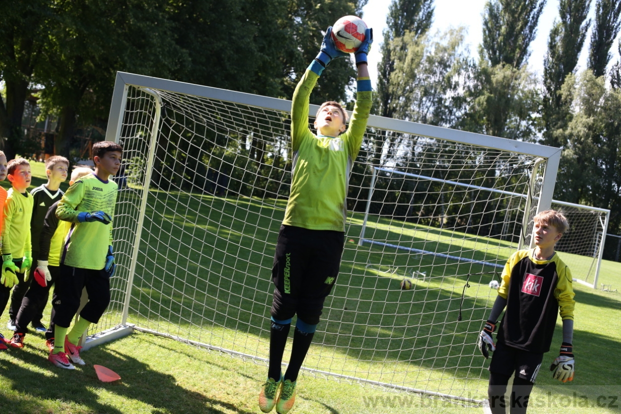 BFŠJCH - Léto 2017 - 29.7.2018