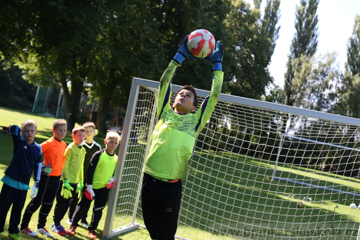 BFŠJCH - Léto 2017 - 29.7.2018