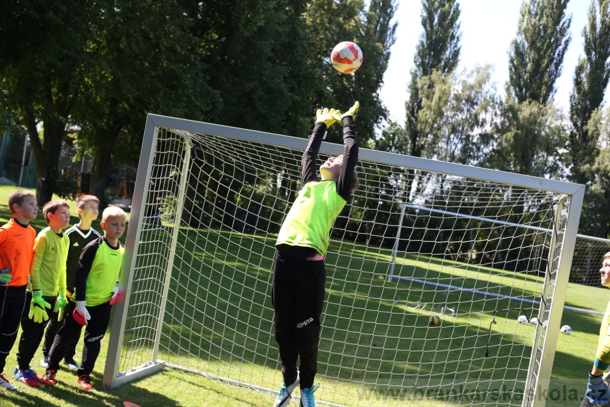 BFŠJCH - Léto 2017 - 29.7.2018