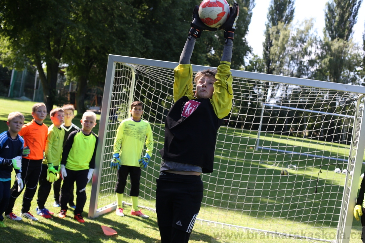 BFŠJCH - Léto 2017 - 29.7.2018