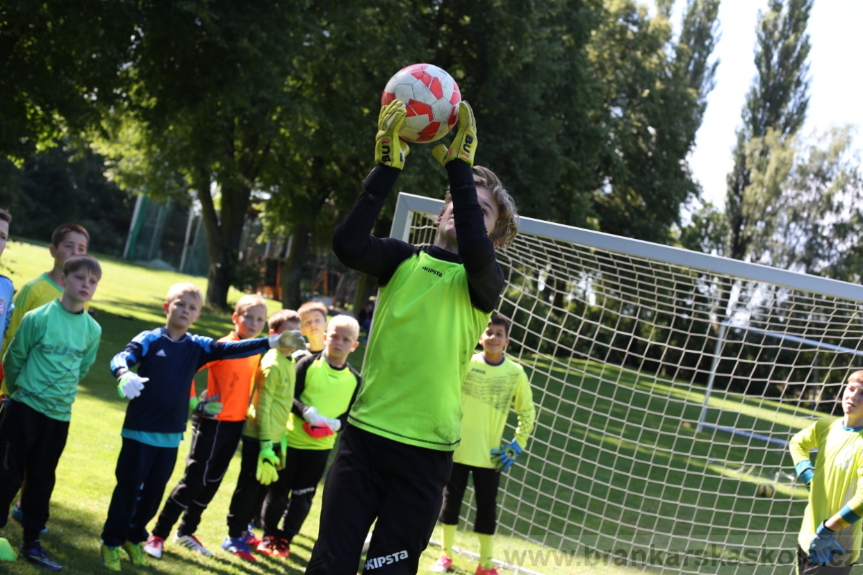 BFŠJCH - Léto 2017 - 29.7.2018