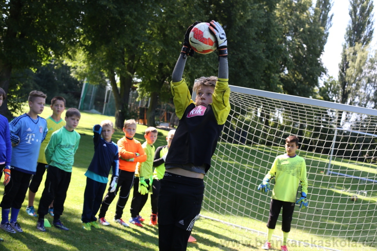 BFŠJCH - Léto 2017 - 29.7.2018