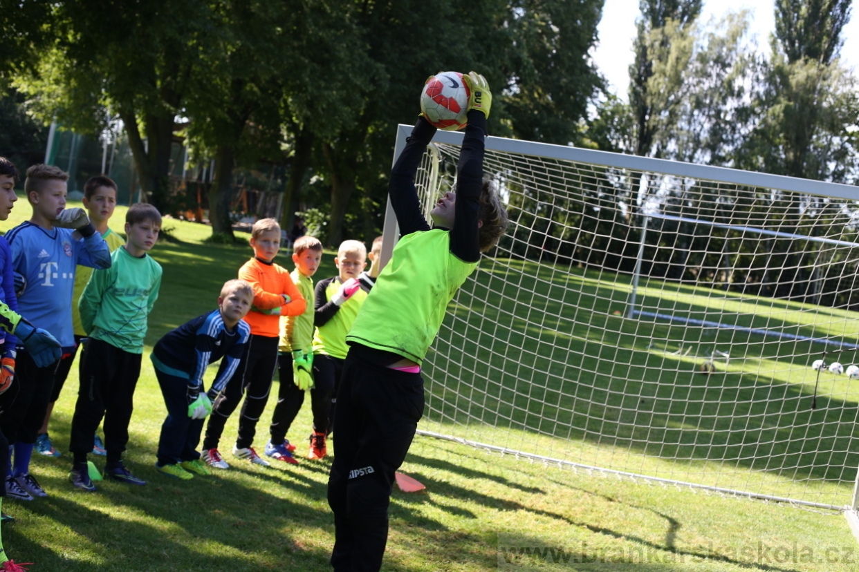 BFŠJCH - Léto 2017 - 29.7.2018