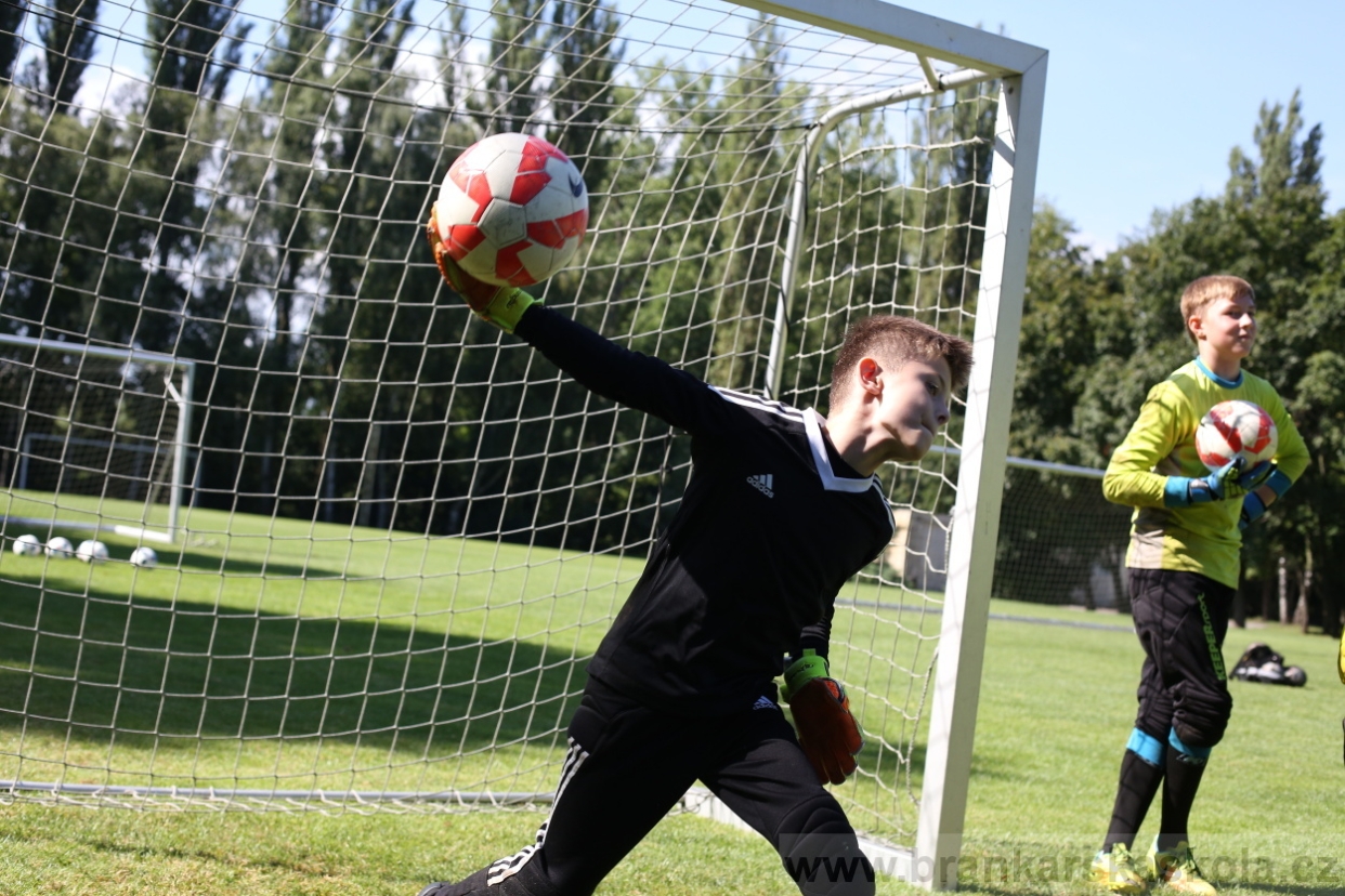 BFŠJCH - Léto 2017 - 29.7.2018