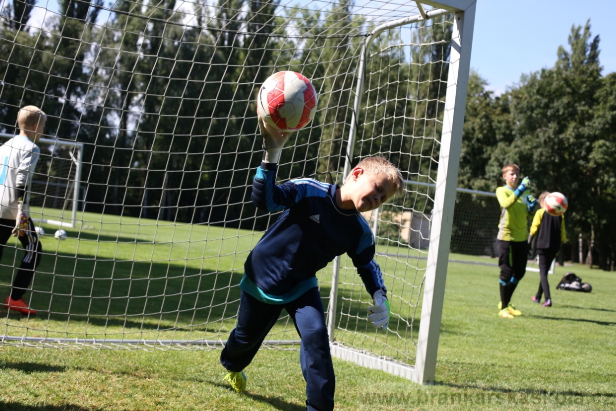 BFŠJCH - Léto 2017 - 29.7.2018