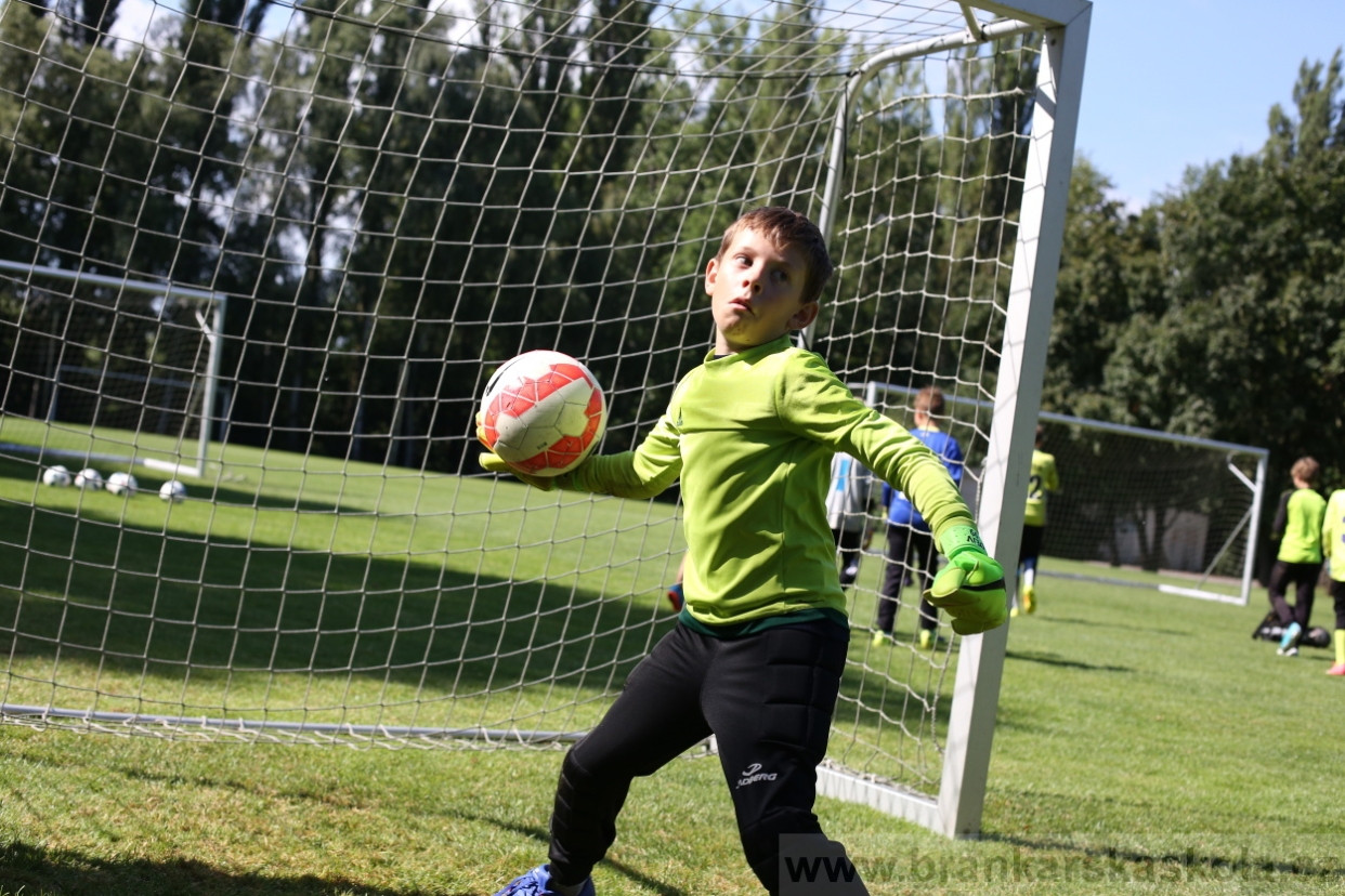 BFŠJCH - Léto 2017 - 29.7.2018