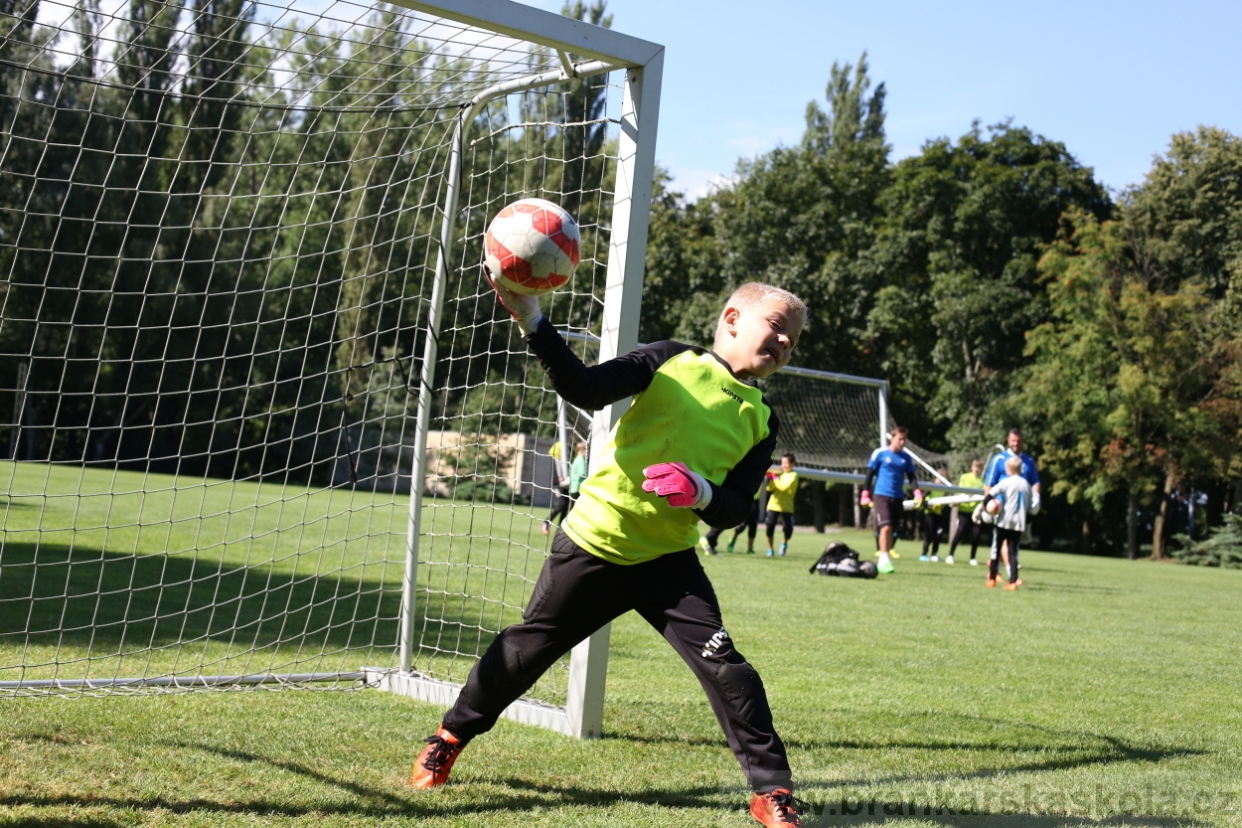 BFŠJCH - Léto 2017 - 29.7.2018