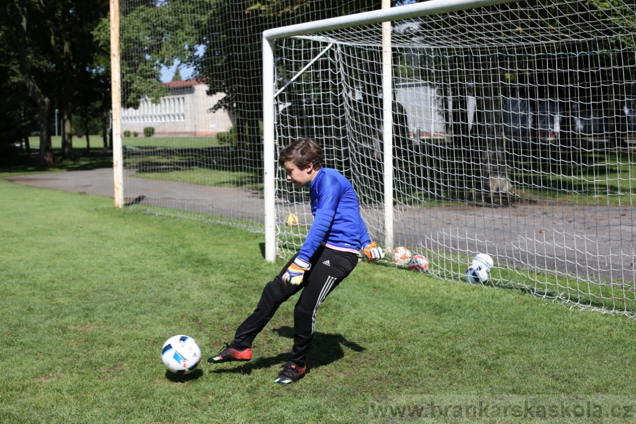 BFŠJCH - Léto 2017 - 29.7.2018