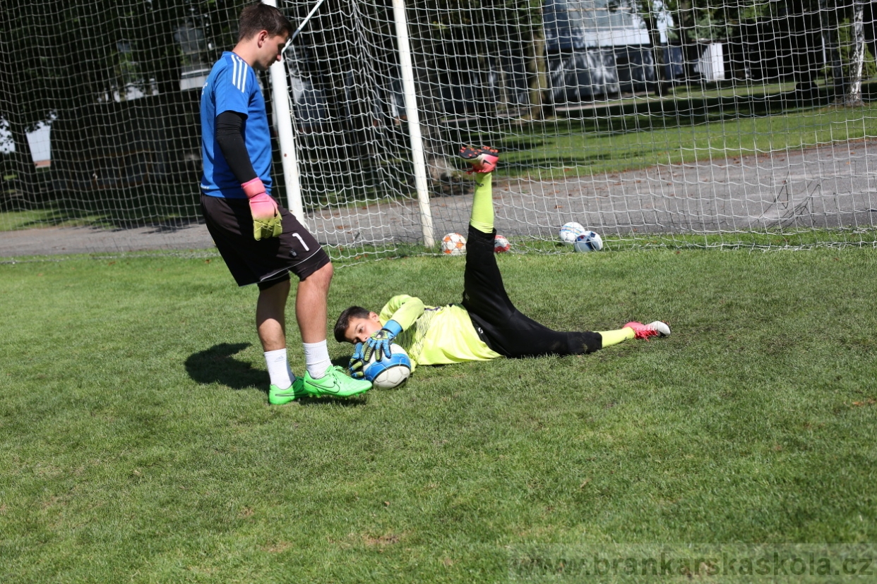 BFŠJCH - Léto 2017 - 29.7.2018