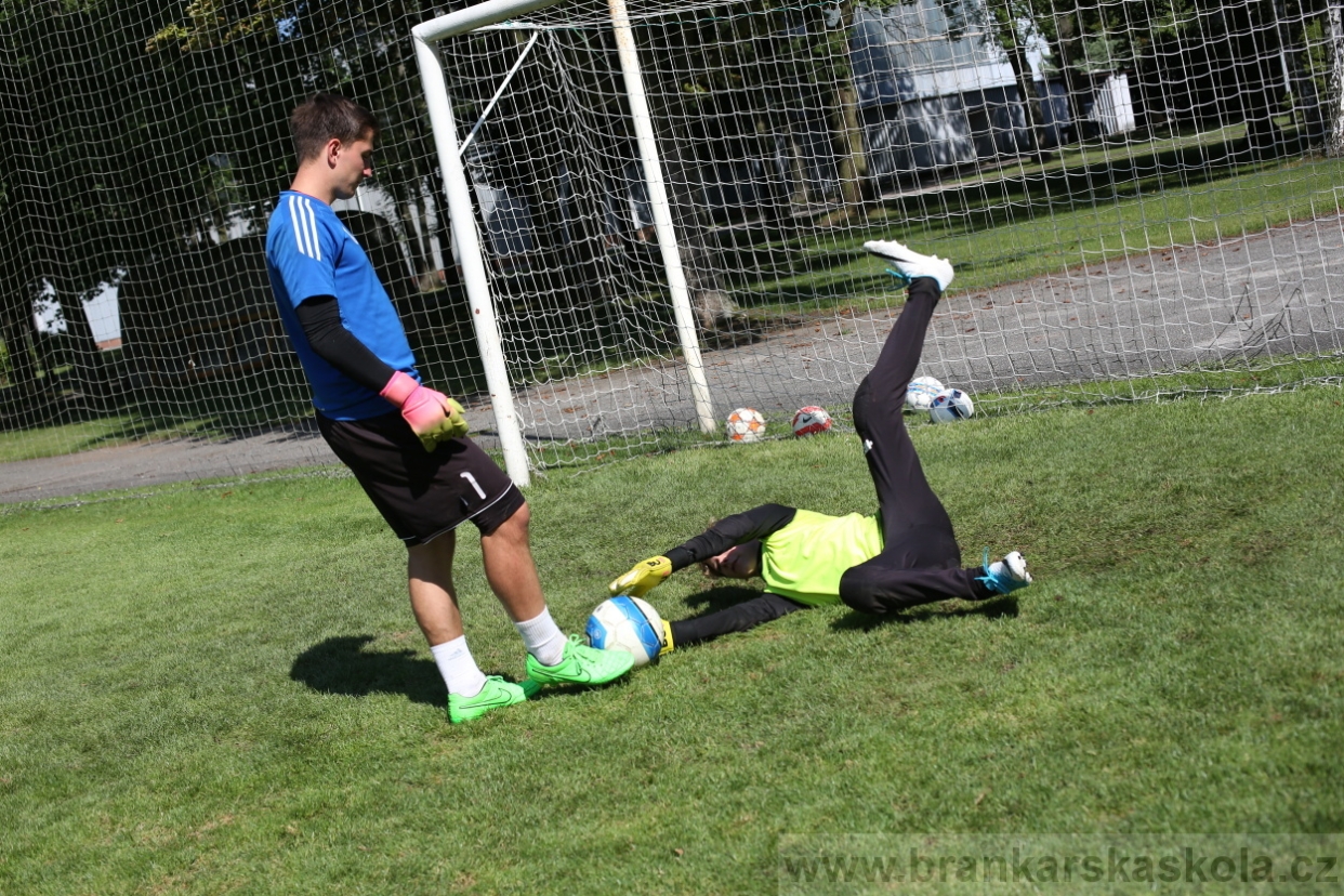 BFŠJCH - Léto 2017 - 29.7.2018