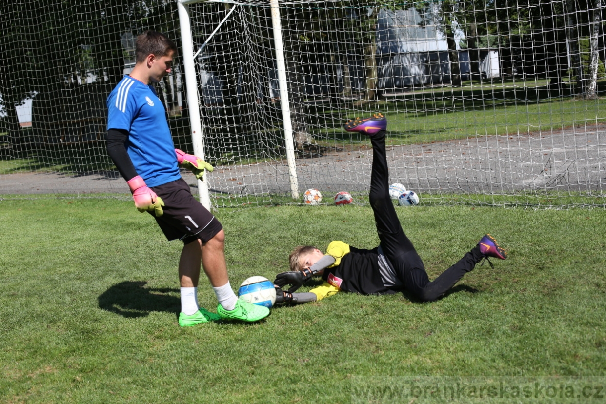 BFŠJCH - Léto 2017 - 29.7.2018