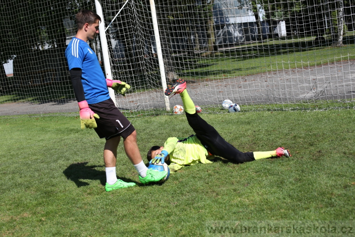 BFŠJCH - Léto 2017 - 29.7.2018