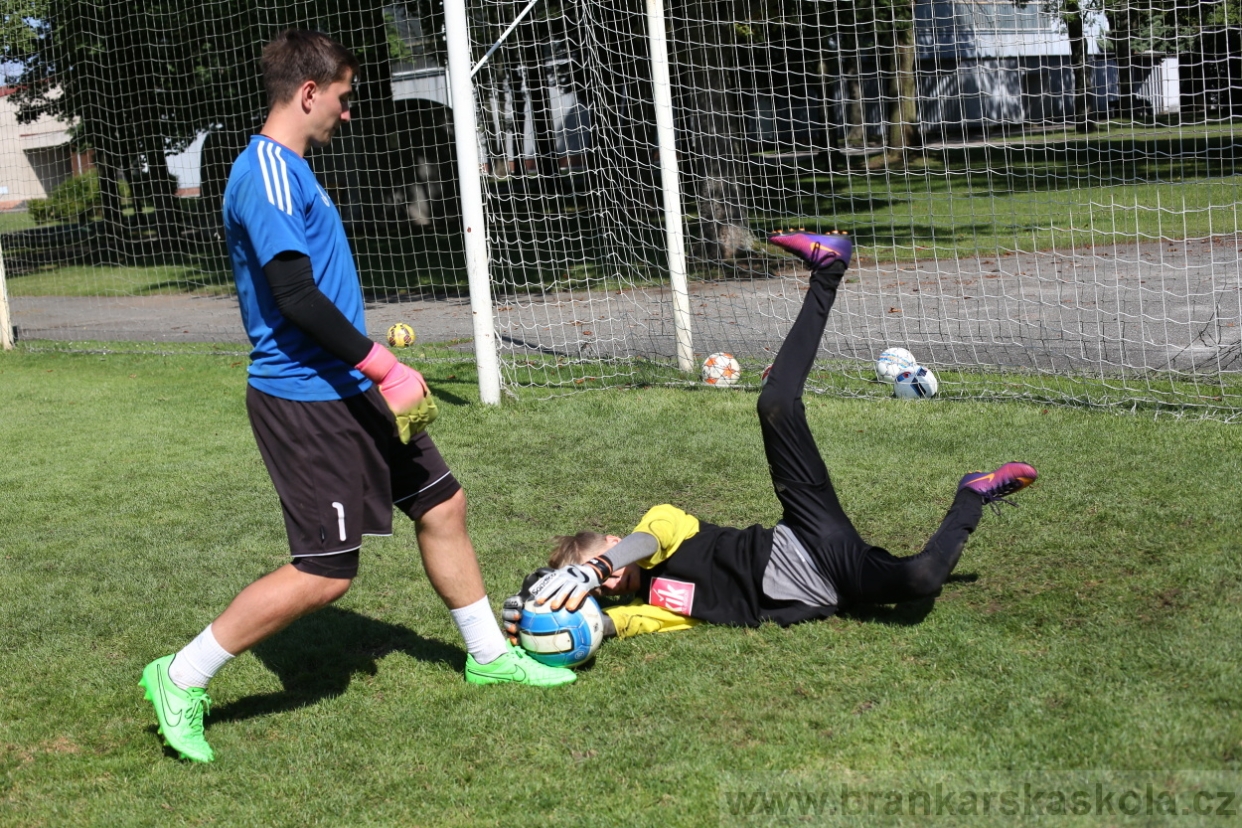 BFŠJCH - Léto 2017 - 29.7.2018