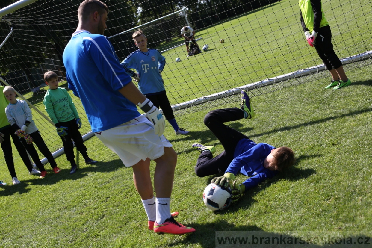 BFŠJCH - Léto 2017 - 29.7.2018