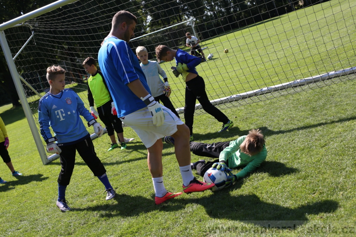 BFŠJCH - Léto 2017 - 29.7.2018