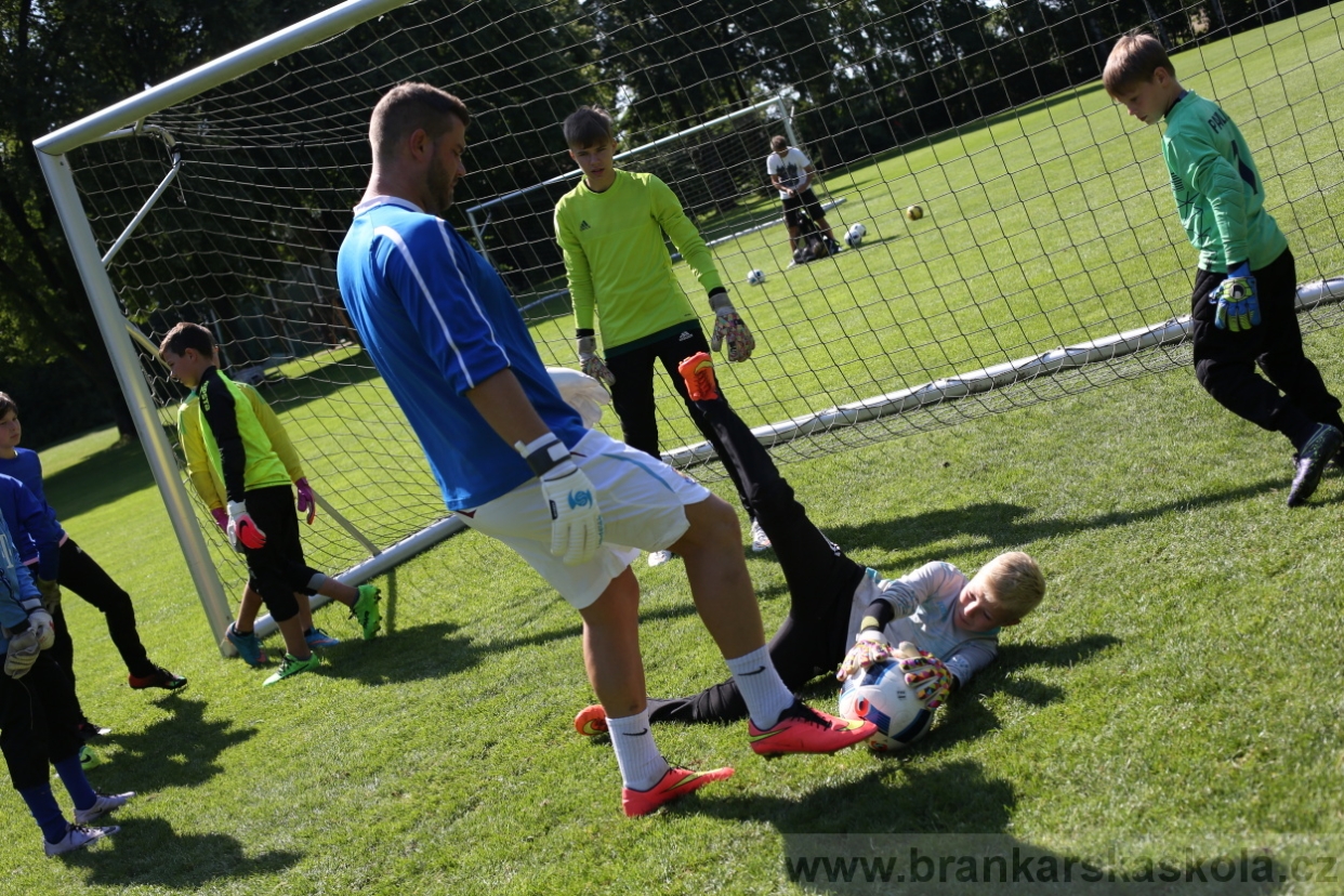 BFŠJCH - Léto 2017 - 29.7.2018