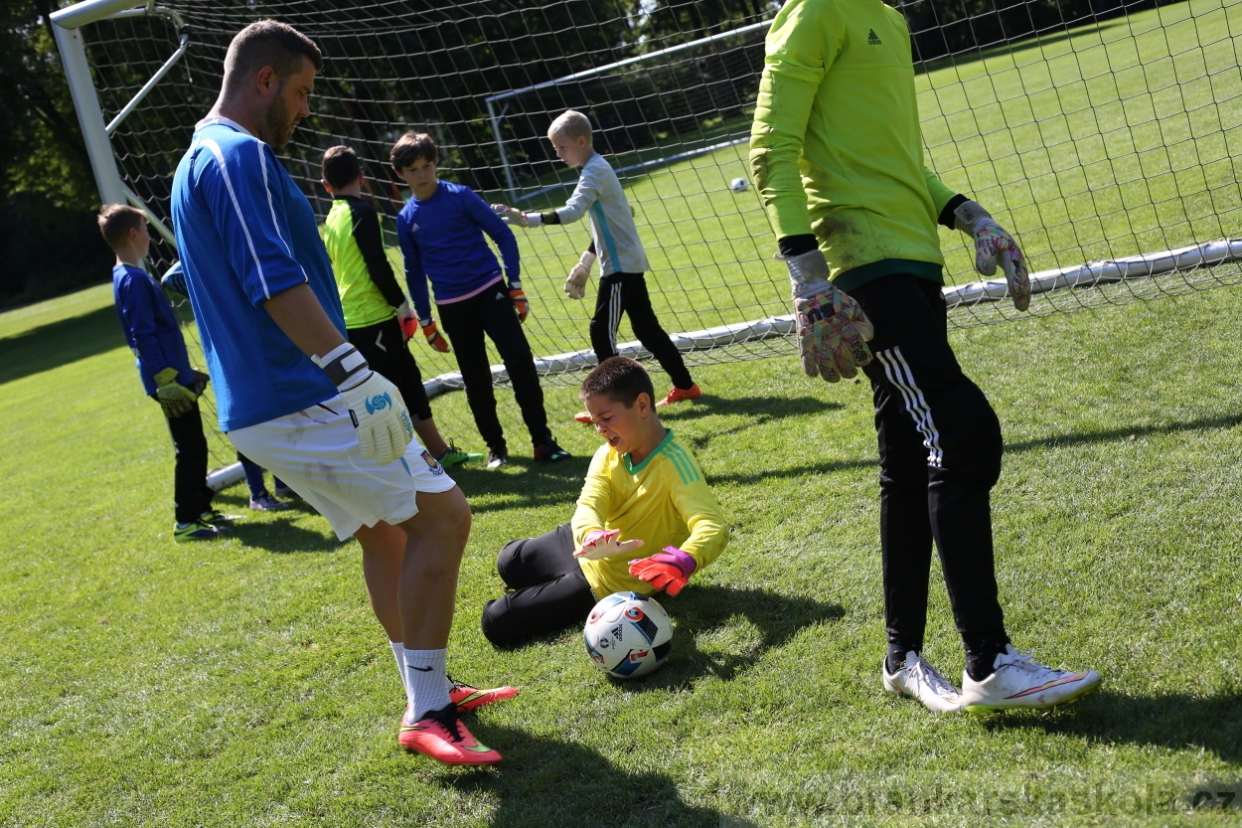 BFŠJCH - Léto 2017 - 29.7.2018
