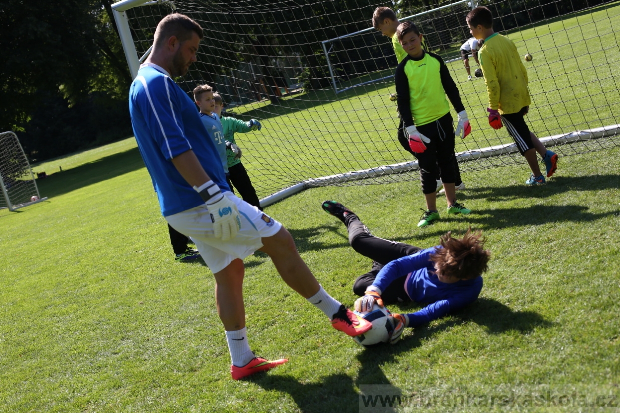 BFŠJCH - Léto 2017 - 29.7.2018