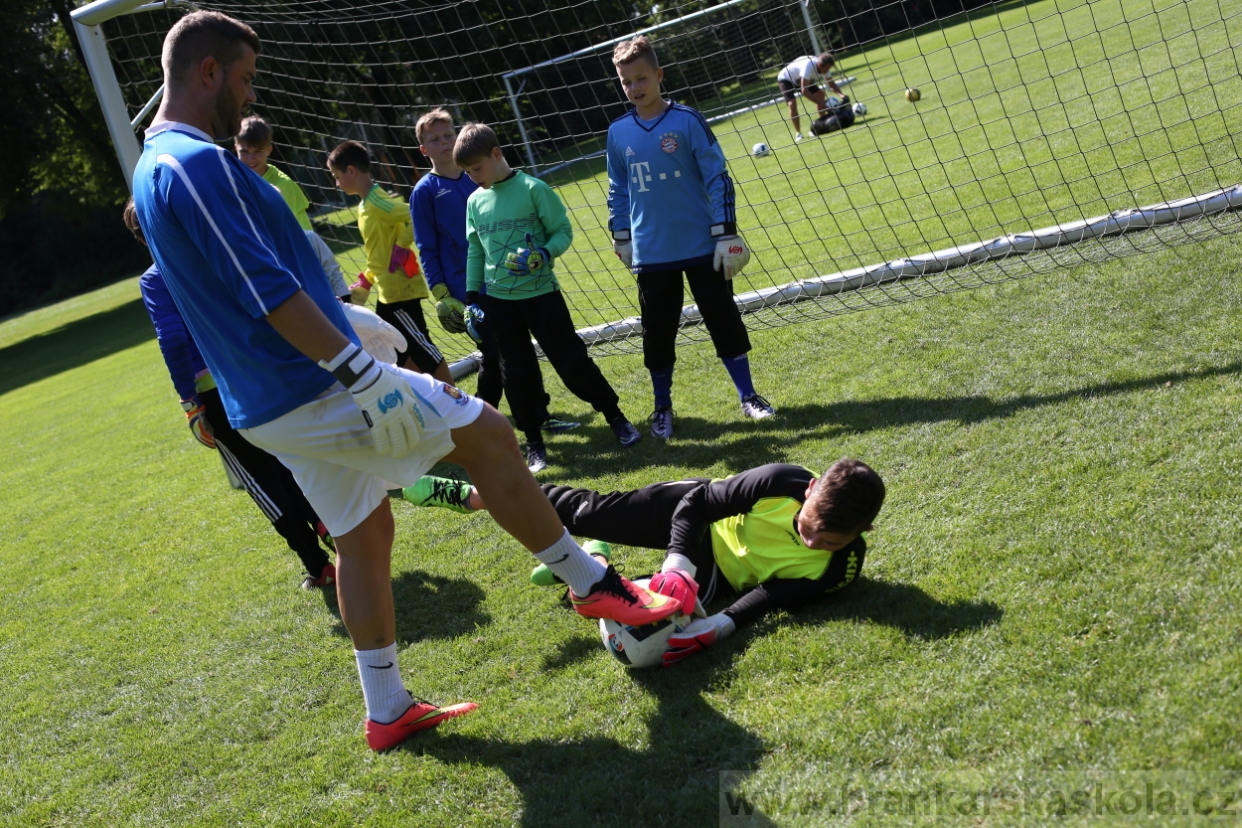 BFŠJCH - Léto 2017 - 29.7.2018