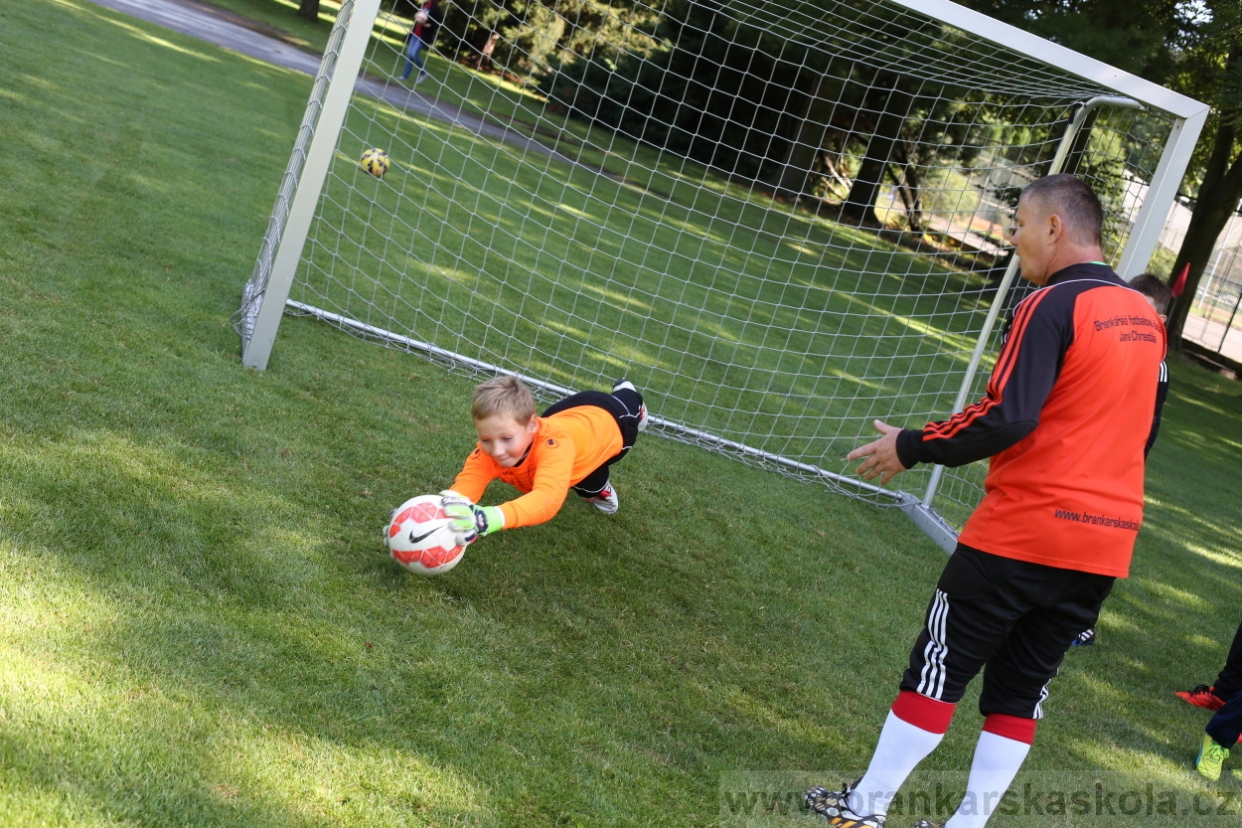 BFŠJCH - Léto 2017 - 29.7.2018