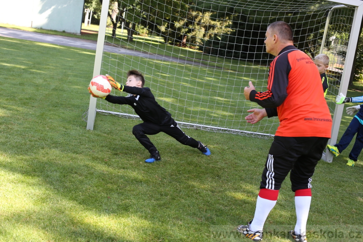 BFŠJCH - Léto 2017 - 29.7.2018