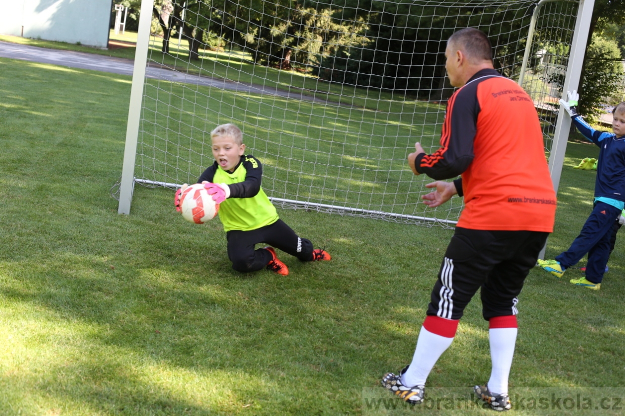 BFŠJCH - Léto 2017 - 29.7.2018