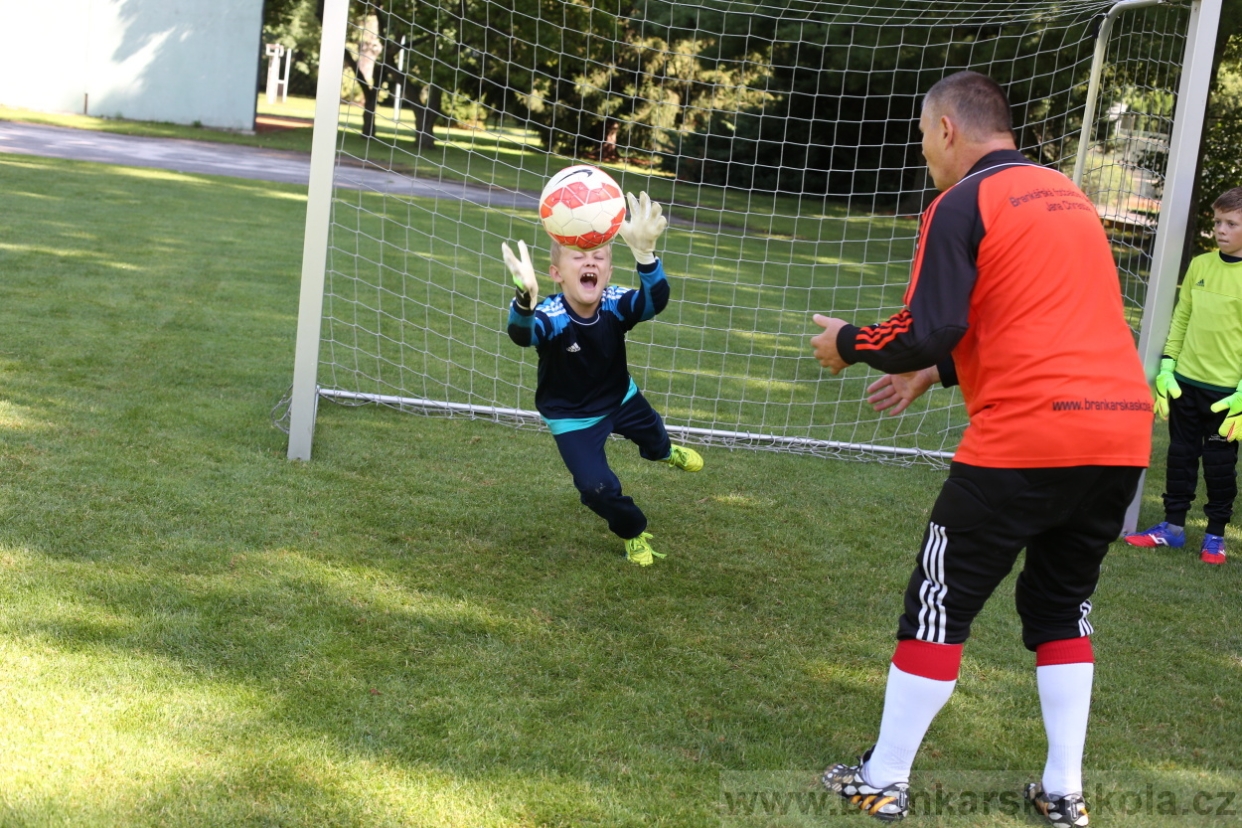 BFŠJCH - Léto 2017 - 29.7.2018