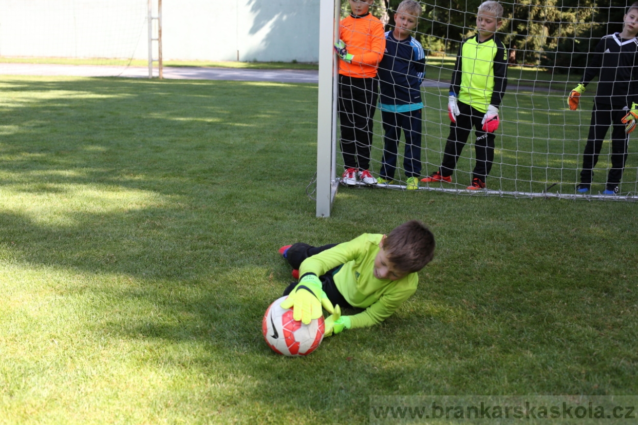 BFŠJCH - Léto 2017 - 29.7.2018