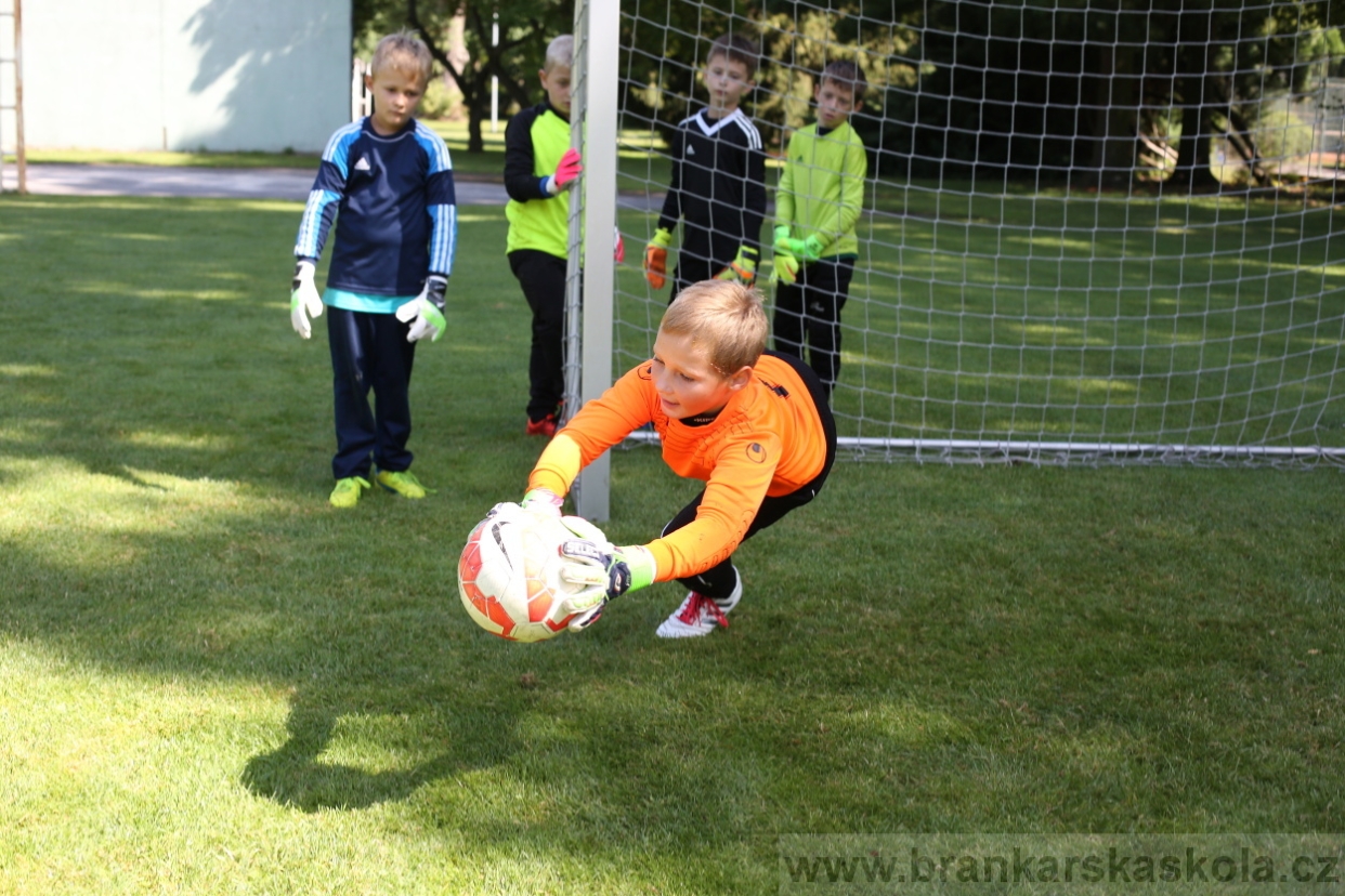 BFŠJCH - Léto 2017 - 29.7.2018