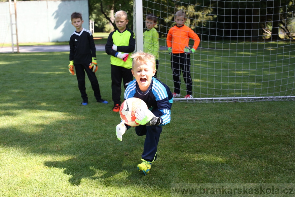 BFŠJCH - Léto 2017 - 29.7.2018