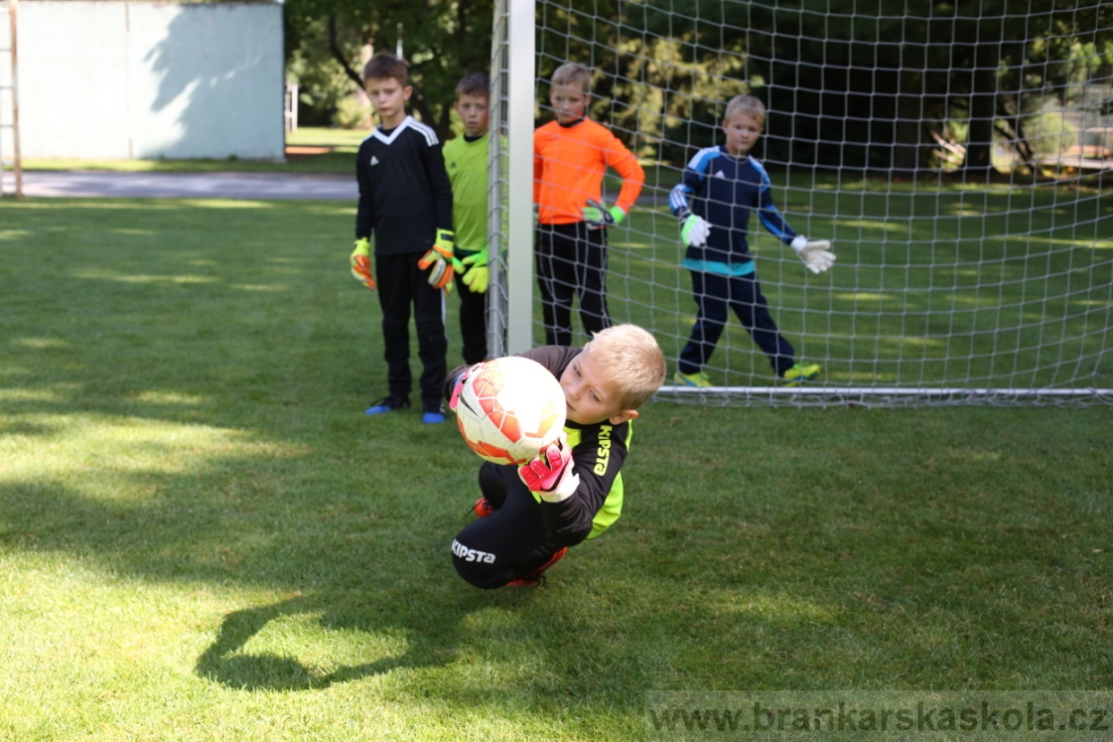 BFŠJCH - Léto 2017 - 29.7.2018