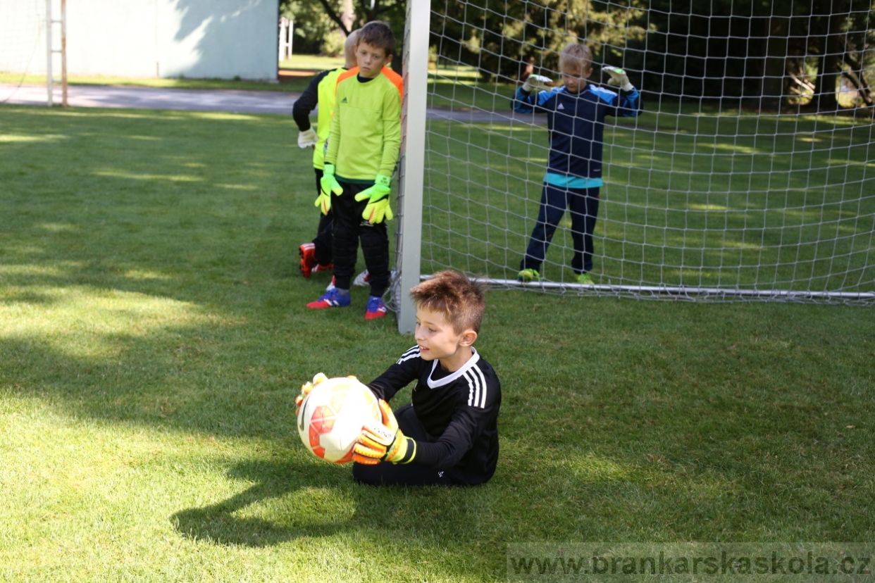 BFŠJCH - Léto 2017 - 29.7.2018