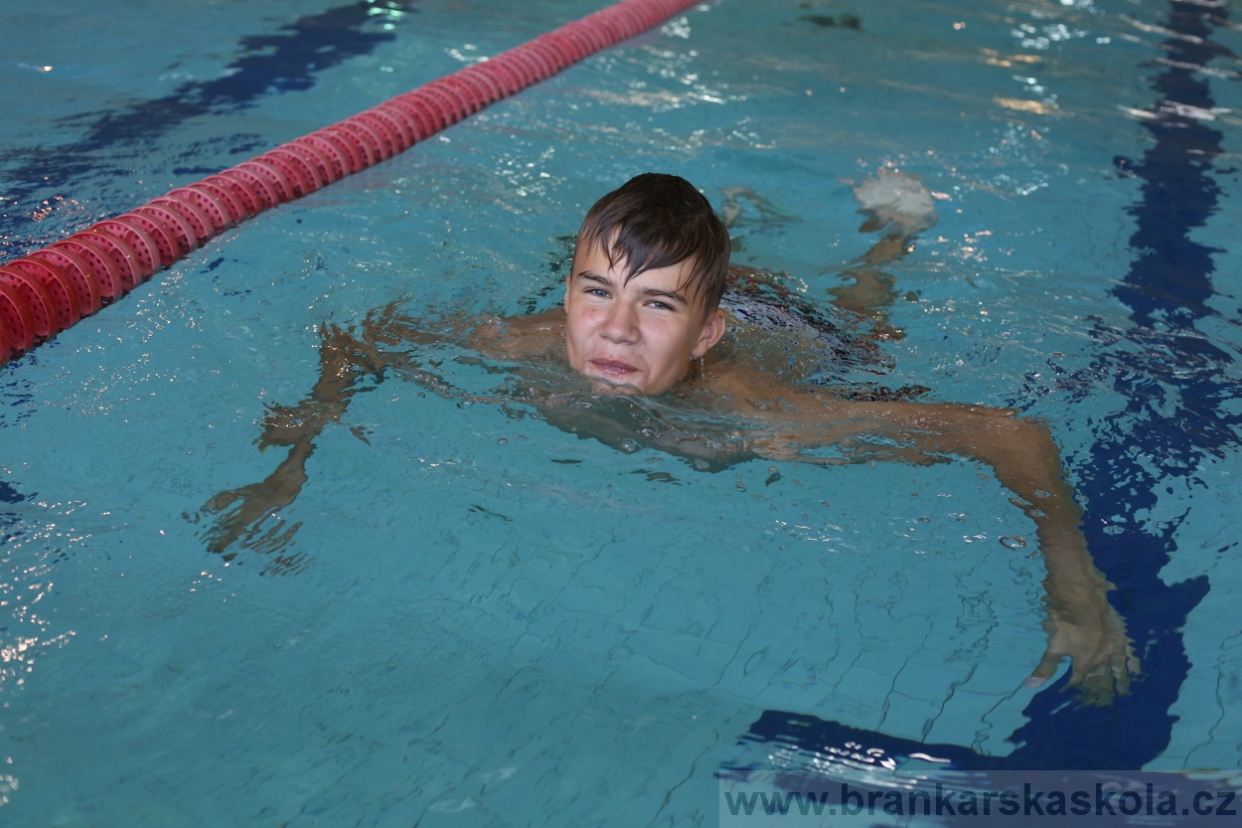 BFŠJCH - Léto 2017 - 29.7.2018