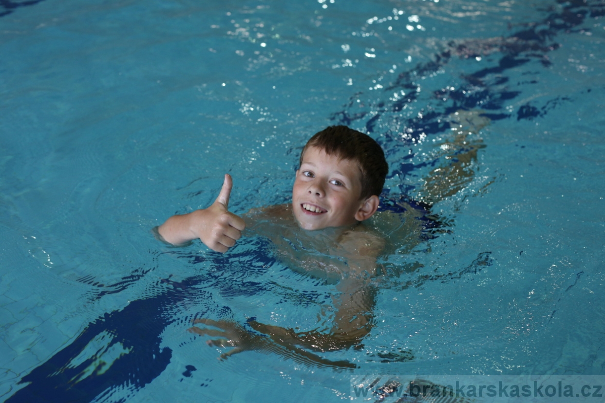 BFŠJCH - Léto 2017 - 29.7.2018