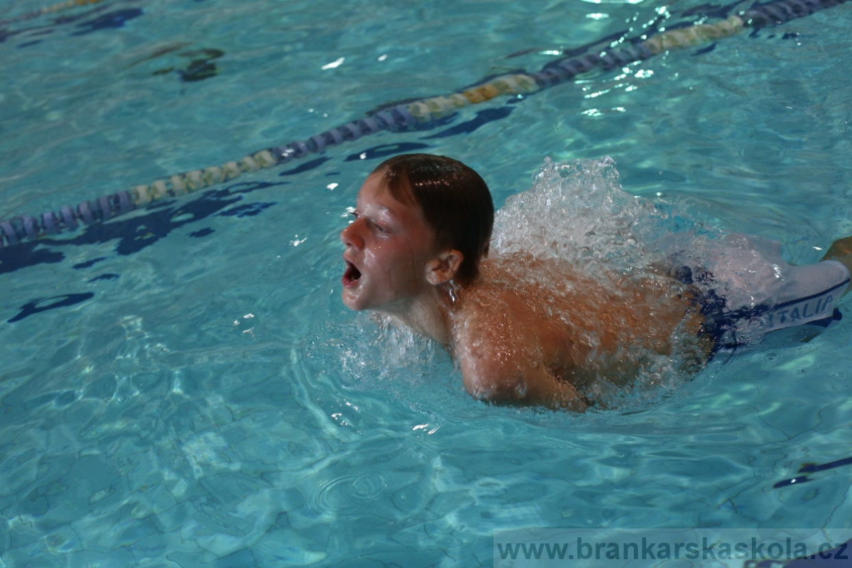 BFŠJCH - Léto 2017 - 29.7.2018