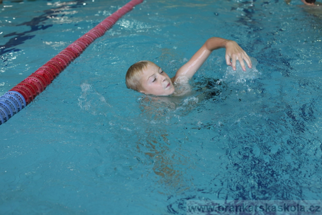 BFŠJCH - Léto 2017 - 29.7.2018