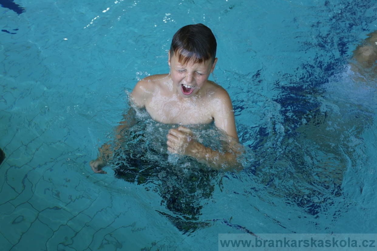 BFŠJCH - Léto 2017 - 29.7.2018